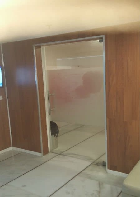 דלת כניסה עם מחזיר שמן